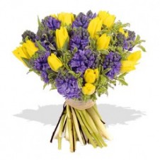Great Yellow Tulips w/ Purple Flower